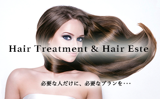 Hair Treatment & Hair Este